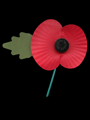 2014 Remembrance Day
	  - Click for Thumbnails