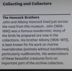 Photo 3  - Great North Museum: Hancock - Founding Brothers