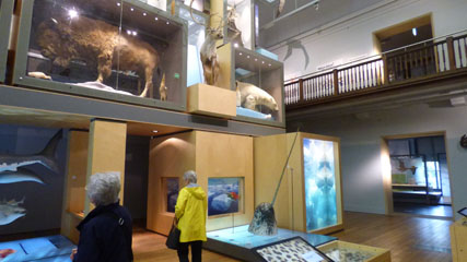Photo 5  - Great North Museum: Hancock - General Views