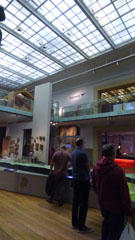 Photo 7  - Great North Museum: Hancock - General Views