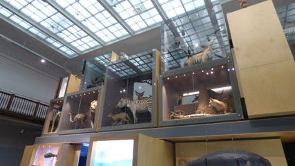 Photo 9  - Great North Museum: Hancock - Living Planet