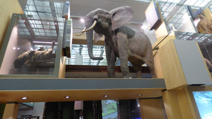 Photo 10  - Great North Museum: Hancock - Living Planet