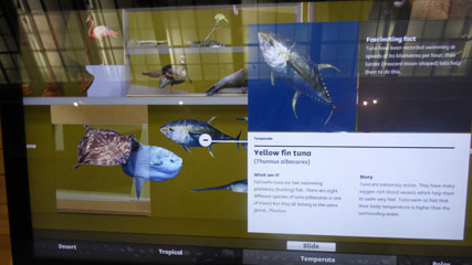 Photo 12  - Great North Museum: Hancock - Living Planet 
