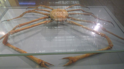 Photo 13  - Great North Museum: Hancock - Living Planet 