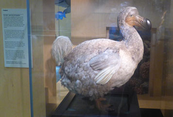 Photo 16  - Great North Museum: Hancock - Living Planet
