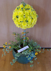 Photo 2  - Flower Festival Display 1 -  Creation: "God created Heaven and Earth",  Genesis 1 - "Sun and Moon" arranged by Joyce French
