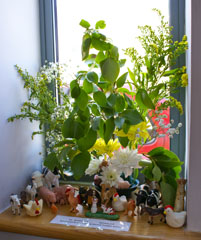 Photo 18  - Flower Festival Display 11 - Noah&rsquo;s Ark: Genesis 6 to 9 - sponsored and arranged by Parent Toddler Group