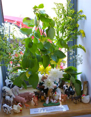 Photo 19  - Flower Festival Display 11 - Noah&rsquo;s Ark: Genesis 6 to 9 - sponsored and arranged by Parent Toddler Group