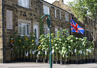 Photo 3  - Great War Centenary - 34 Normanby Men Remembered