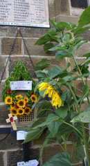 Photo 10  - Great War Centenary - Respects Displayed...