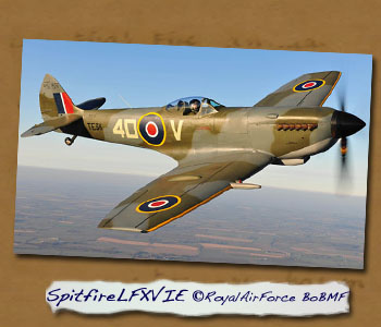 RAF BoBMF Spitfire LFXVIE TE311