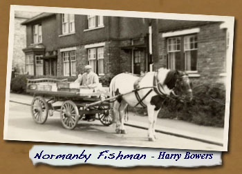 Normanby Fish Man - Harry Bowers
- Click On This for Larger Image 
	(Opens in New Window)